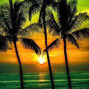 Meet your Posher, Larry